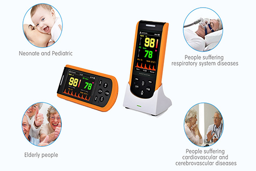 Handheld Pulse Oximeter 