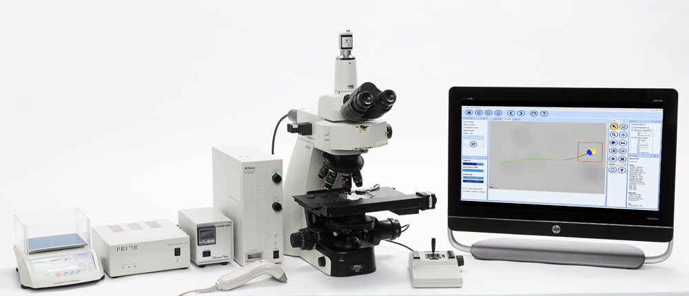 Our team is fueled by continuous passion to enhance their knowledge and skills.